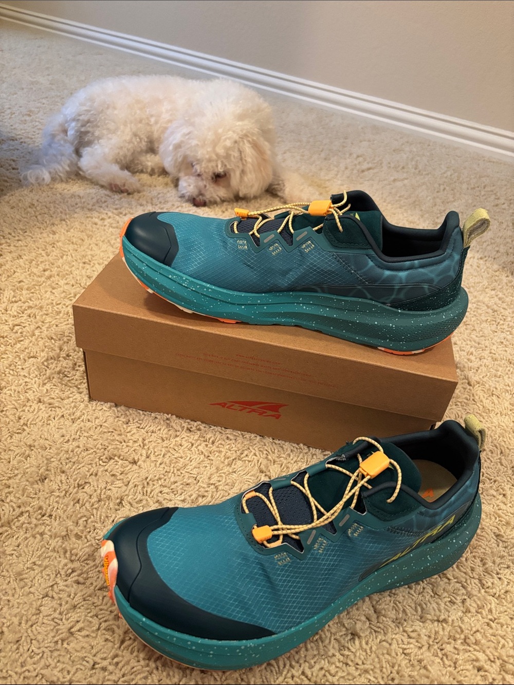 Altra M Voyager